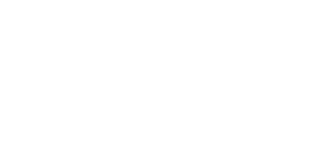 PlayNovelGo Logo